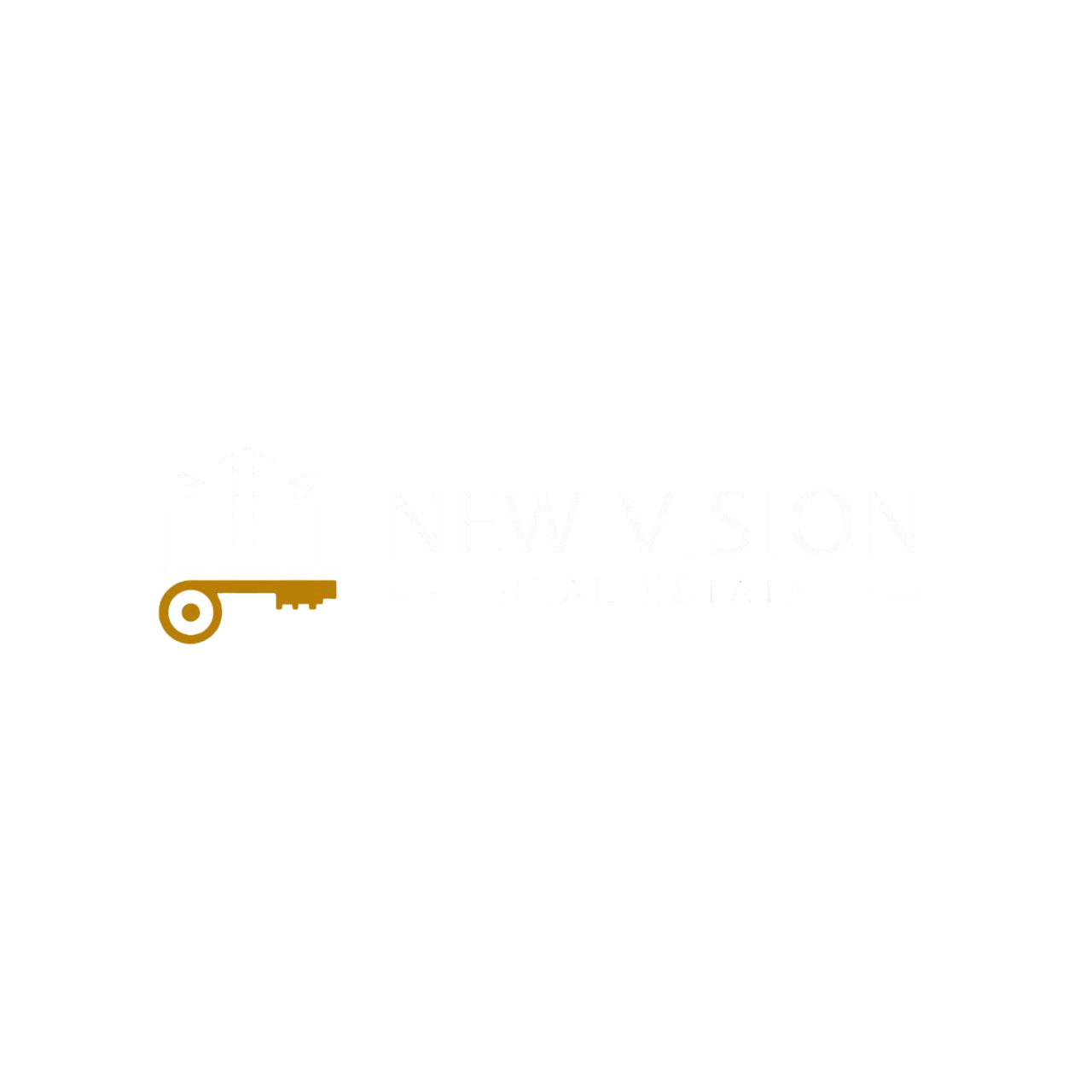 New Vision Real Estate Logo